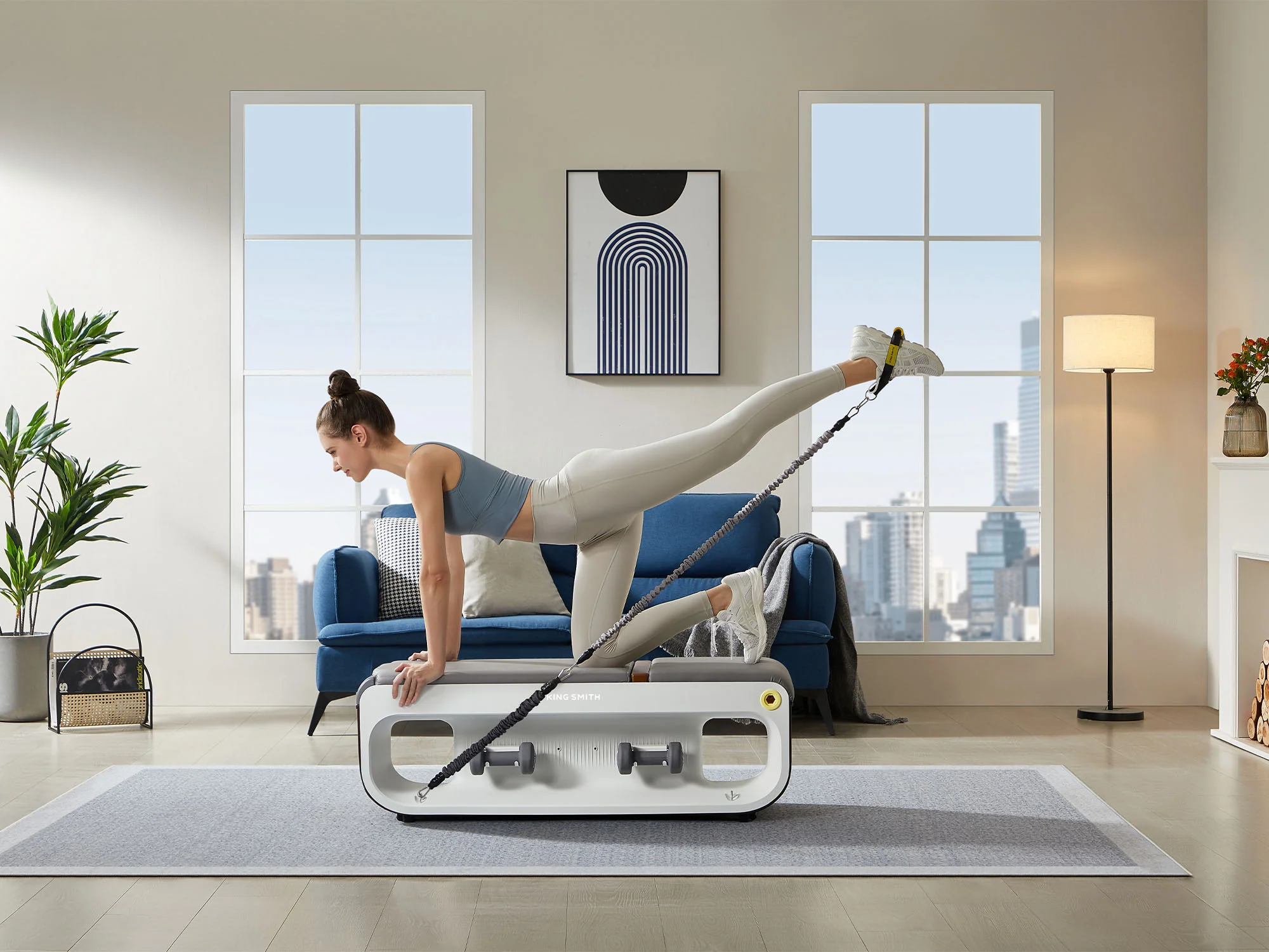 KingSmith WalkingPad Multifunctionele Fitnessbank - Image 5